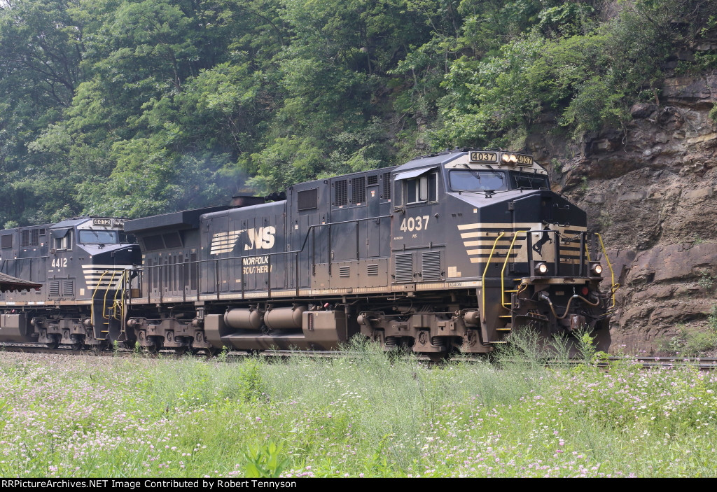 NS 4037